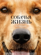 Собачья жизнь / A Dog's Purpose [2017, BDRip]