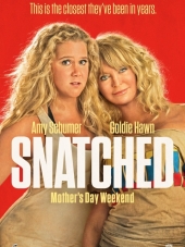 Дочь и мать её / Snatched [2017, BDRip]