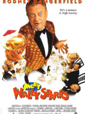 Познакомьтесь с Уолли Спарксом / Meet Wally Sparks [1997, DVDRip]