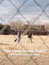 Долгая идиотская дорога / The Long Dumb Road [2018, BDRip]