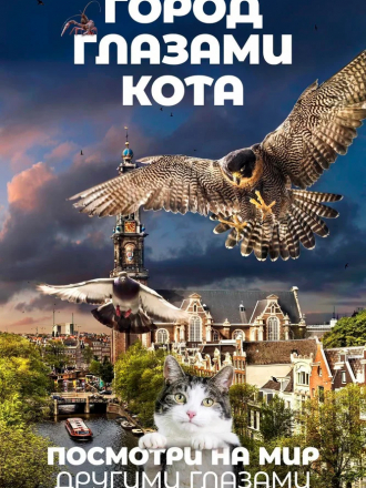 Город глазами кота / Katwalk [2018, WEB-DLRip]