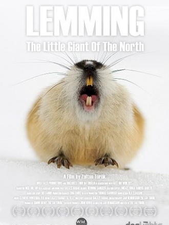 Лемминг. Маленький гигант севера / Lemming, the little giant of the North [2017, HDTV]