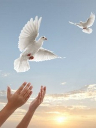 Экхарт Толле [2010, ]