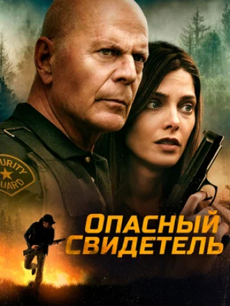 Опасный свидетель / Wrong Place [2022, WEB-DL]