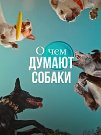 О чем думают собаки / Inside the Mind of a Dog [2024, WEBRip]