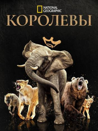 Королевы / Queens [2024, WEB-DL] [s01]