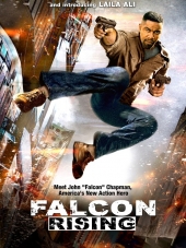 Восхождение Сокола / Falcon Rising [2014, WEB-DLRip]
